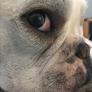 Meet your Posher, Keri